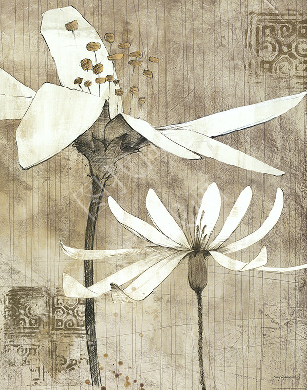 030HTK (106)30X38cm